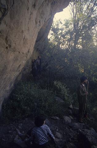 Open original Digital object