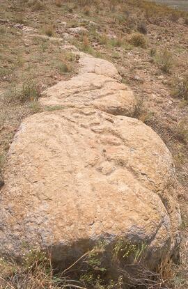 NASMUS RSA MTN2 15