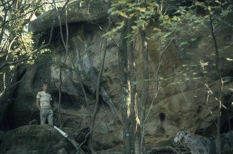 Open original Digital object