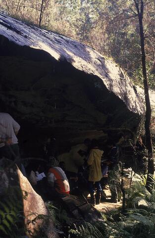 Open original Digital object