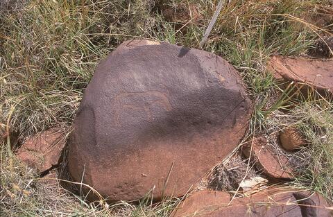 Open original Digital object