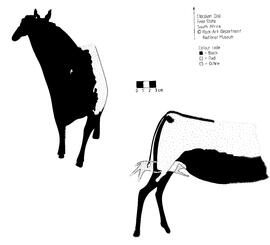NASMUS RSA PRY1 3R