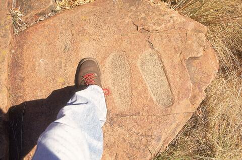 Open original Digital object