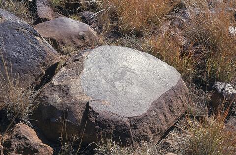 Open original Digital object