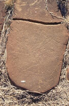 NASMUS RSA STO1 14