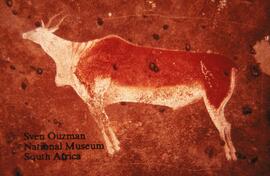 NASMUS RSA BOU1 4