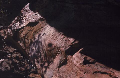 Open original Digitaal object