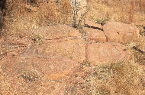 Open original Digital object