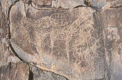 Open original Digital object