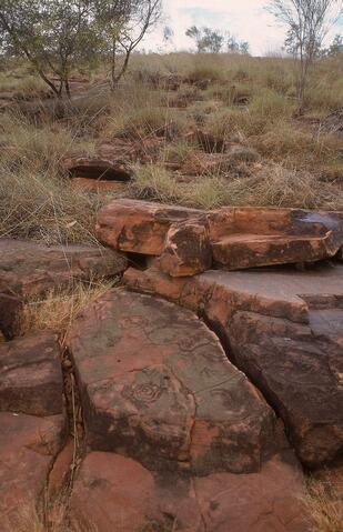 Open original Digital object