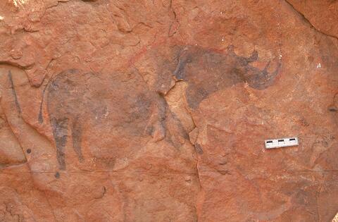 Open original Digital object