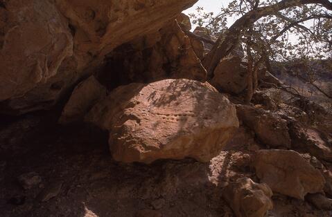 Open original Digital object