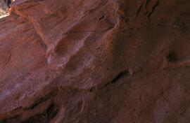 NASMUS AUS KRV11 38