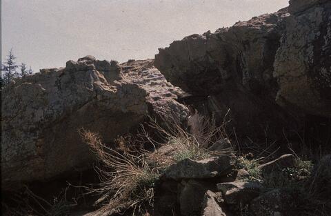 Open original Digital object