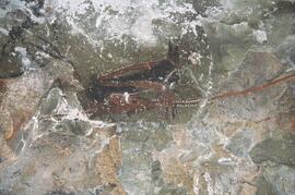 NASMUS RSA LIN2 17