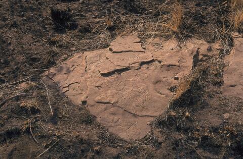 Open original Digital object