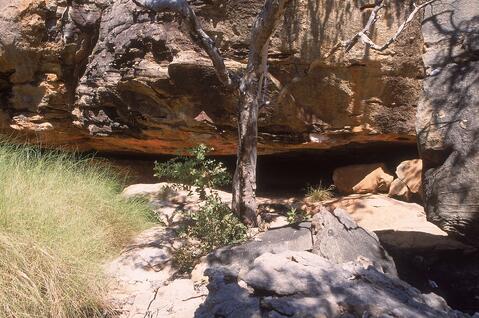 Open original Digital object