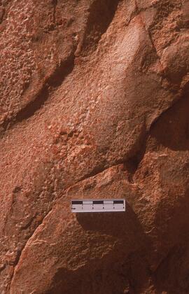 NASMUS AUS KRV58 13