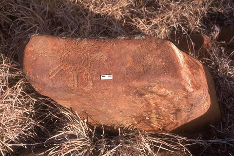 Open original Digital object