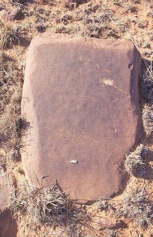 Open original Digital object