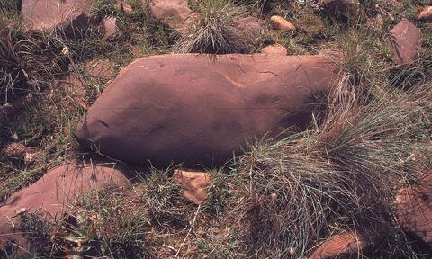 Open original Digital object