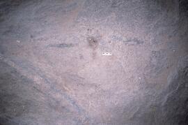 NASMUS BOT TSO5 17