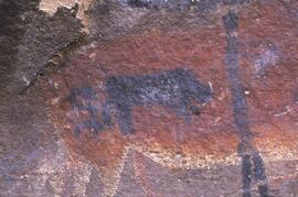 NASMUS RSA HAE1 29