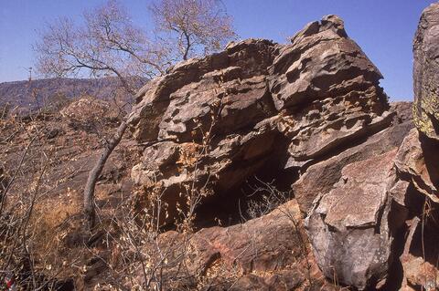 Open original Digital object