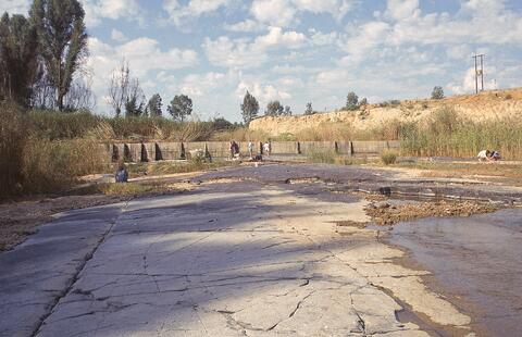 Open original Digital object