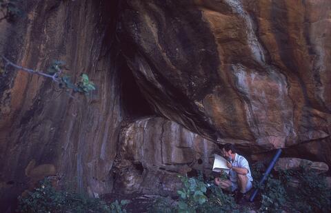 Open original Digital object