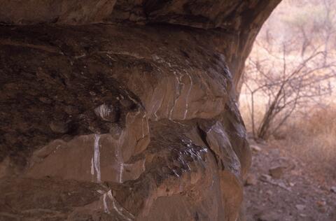 Open original Digitaal object