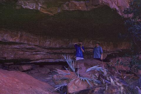 Open original Digital object