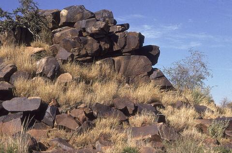 Open original Digital object