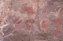 NASMUS RSA HAE1 20