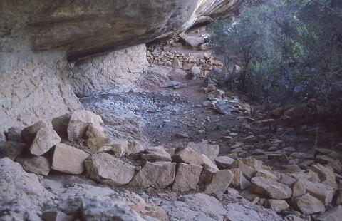 Open original Digital object