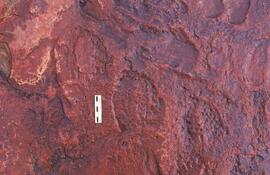 NASMUS RSA DAM2 7