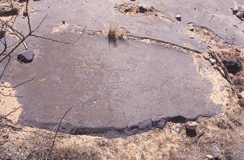 Open original Digital object