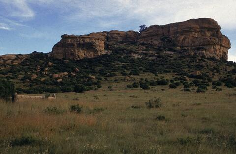 Open original Digital object