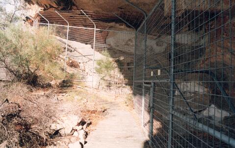 Open original Digital object