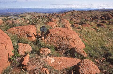 Open original Digital object