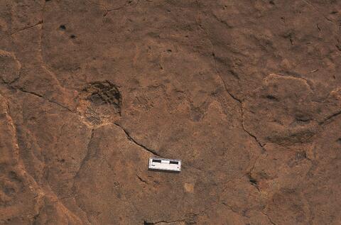 Open original Digital object