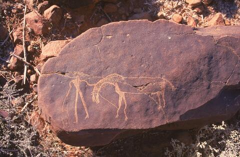 Open original Digitaal object