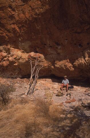 Open original Digital object