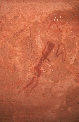NASMUS NAM TWT8 46