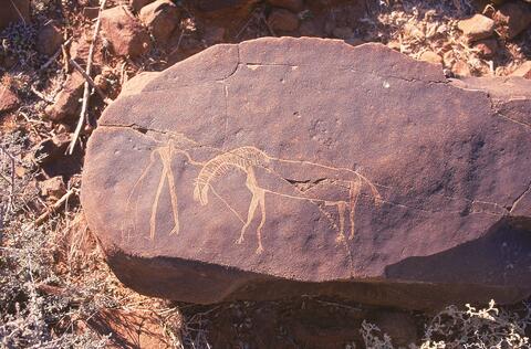 Open original Digitaal object