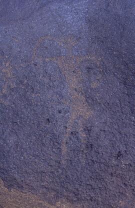 NASMUS RSA BLW1 20