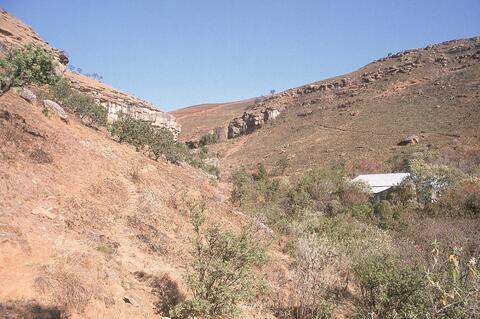 Open original Digital object