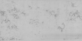 NASMUS RSA MRR1 5T