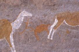 NASMUS RSA RIP1 14