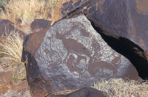 Open original Digital object